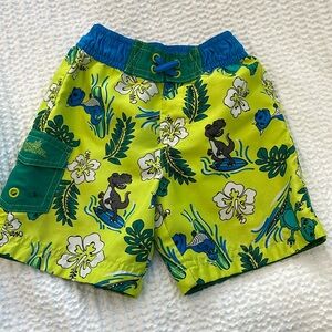 2T swim trunks